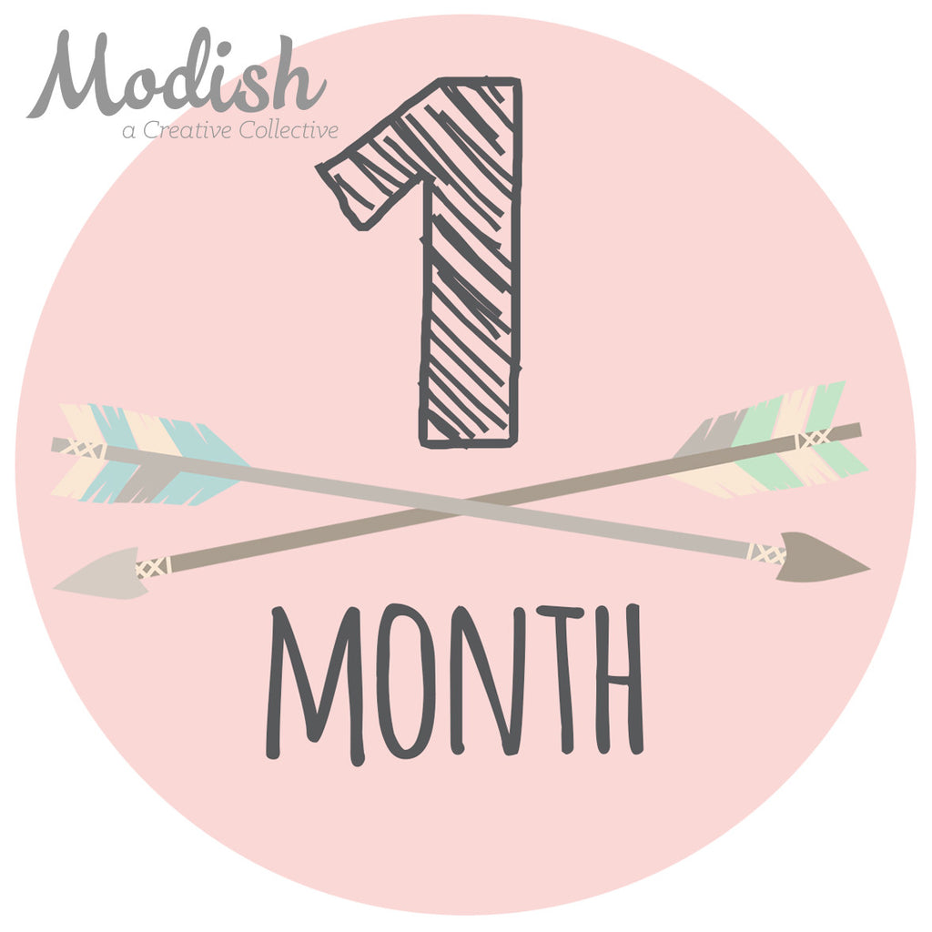 Tribal Flowers Baby Month Stickers - Feathers Arrows Baby Girl