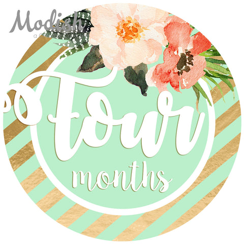 Floral Pink Mint Gold Monthly Baby Stickers - Baby Girl – Modish Labels
